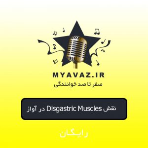 نقش Disgastric Muscles در آواز
